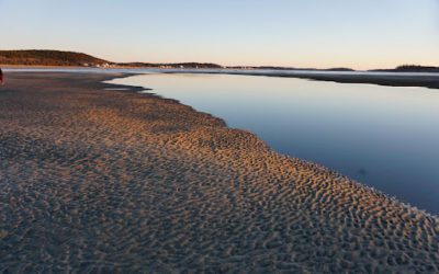 Discover the Best Beaches Near Bar Harbor: Your Ultimate Downeast Beach Guide