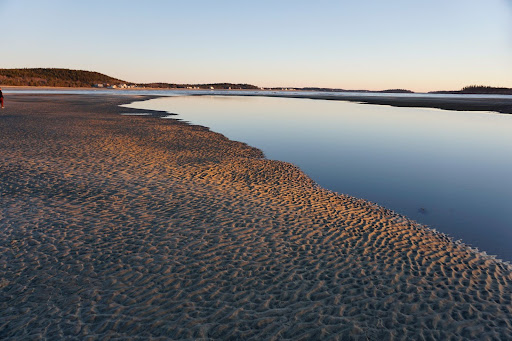 Discover the Best Beaches Near Bar Harbor: Your Ultimate Downeast Beach Guide